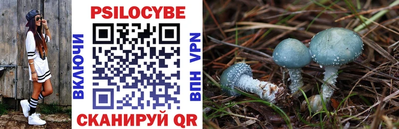 мега ONION  Бугуруслан  Псилоцибиновые грибы Psilocybine cubensis 