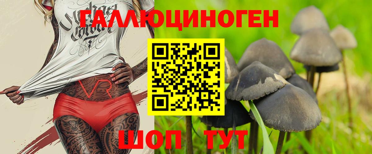 Бугуруслан  Псилоцибиновые грибы ЛСД  Вход с VPN 